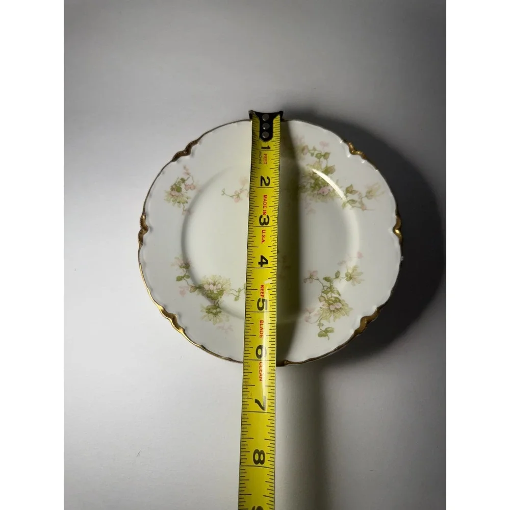 Set of 6 Haviland Limoges France Plates And Saucers Schleiger‎ Floral Gold White
